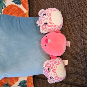 Set of 3 mini squishmallows.